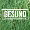 Gesund - 10 Schritte zur Revitalisierung von Pfarreien und Gemeinschaften