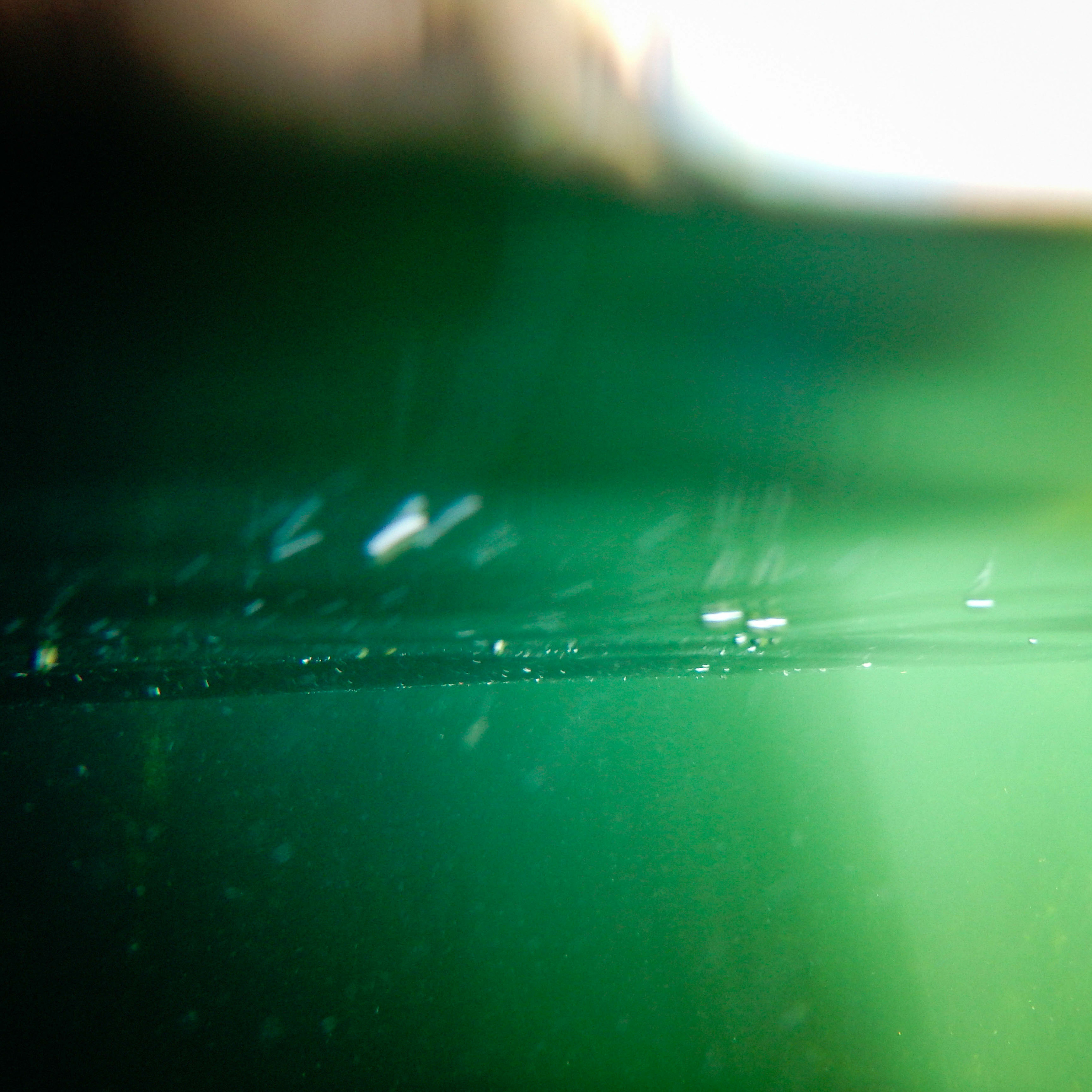 The Beauty Of Things Submerged episode artwork