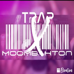 ELEVATION - Trap X (Code) X  Moombahton 2018