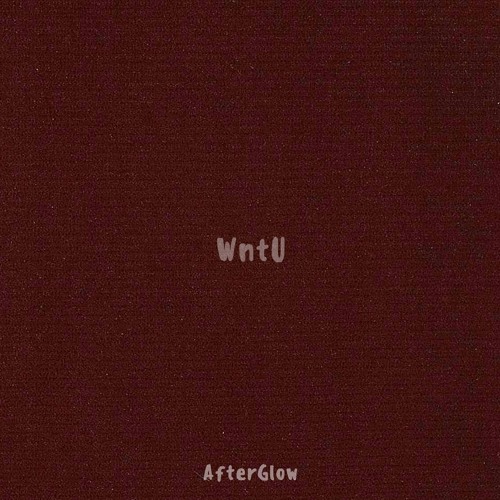 WntU