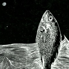 "لست بسمكة" // "You Are Not A Fish" - Hania Fansa