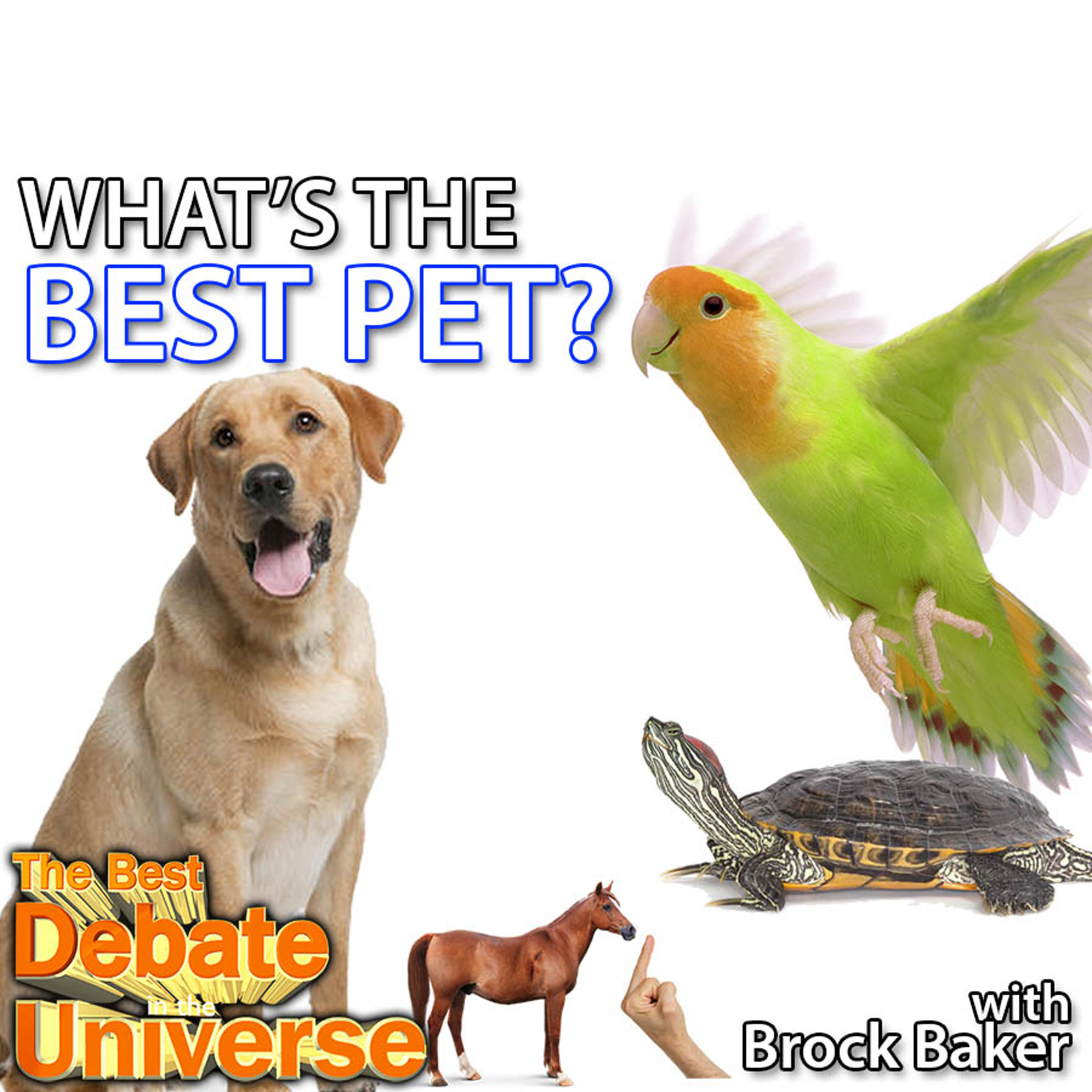 #85 - What's the best pet? Brock Baker, Rucka, Elvis Cup, Dutch Cops, Horse Wang episode artwork
