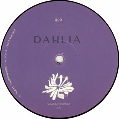 Nopax - Dahlia996 (DAHLIA996)