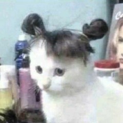 going to california - gem cover