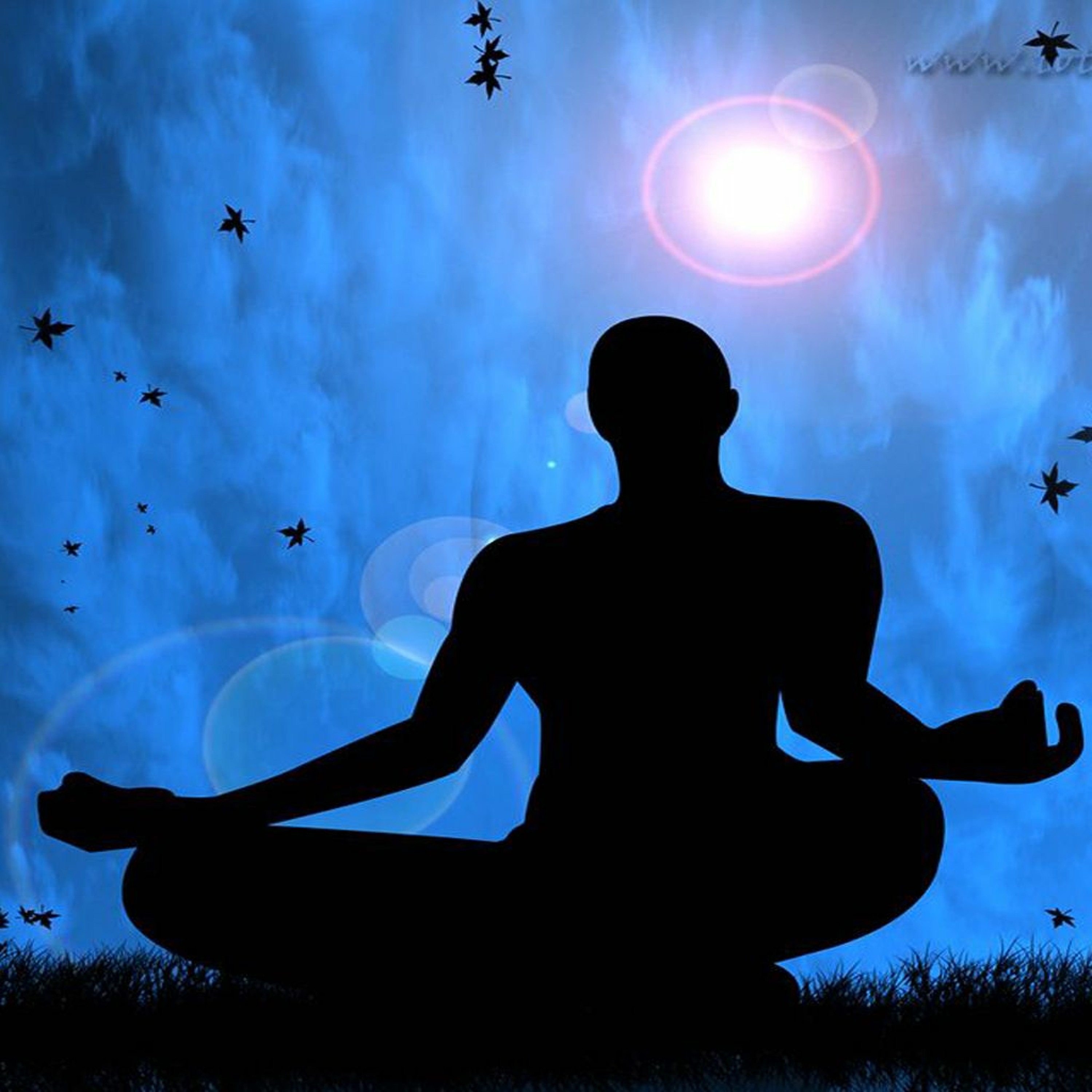 Andrea Merlau-Shanti Mahan Kaur-