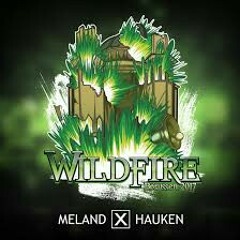 Wildfire 2017 - Meland x Hauken