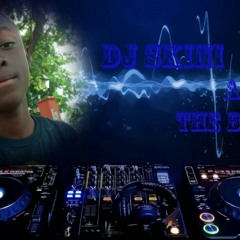 Se premye Mix mw feh e mw kwè nap sipotem follow me please mw se Dj Skinny