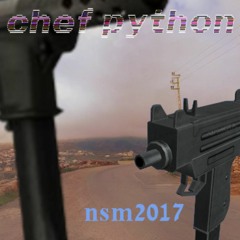 nsm2017