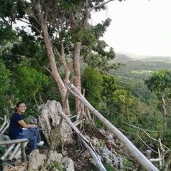 Let me love Thee Savior - H369.m4a