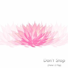 Geotheory - Don't Stop (Peter Z Flip)