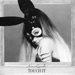 Ariana Grande - Touch It Ft. Chris Brown Lil Wayne (Accoustic)