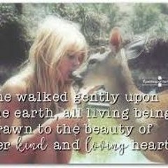 The Dusk Busker Feat Danny C Ritchie Mills Flowing Summer Stream