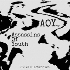 *Premiere* Assassins of Youth - Comedy Night (Raw Cut)