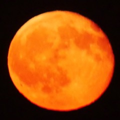 Dramax REMIX 2.0 (Stretching exercises at 110 bpm)