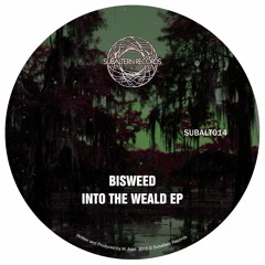 Bisweed - Shelter [duploc.com premiere]