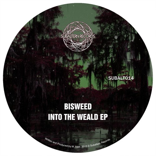 Bisweed - Shelter [duploc.com premiere]