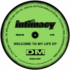 PREMIERE: Intimacy - It's How I Feel (Innershades Remix) [DM Hardware]