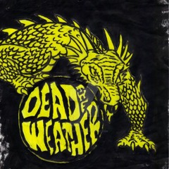 The Dead Weather-Hang You From The Heavens (Cover)