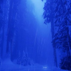 Late Night Cruising...