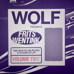 Frits Wentink - Theme 8