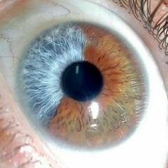 Water - Live - Thorngate Hall