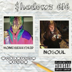 All For You (ft. Honeyberrydrip) [Prod. No$oul]