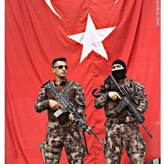 Grup Göktürkler - Sen Giderken