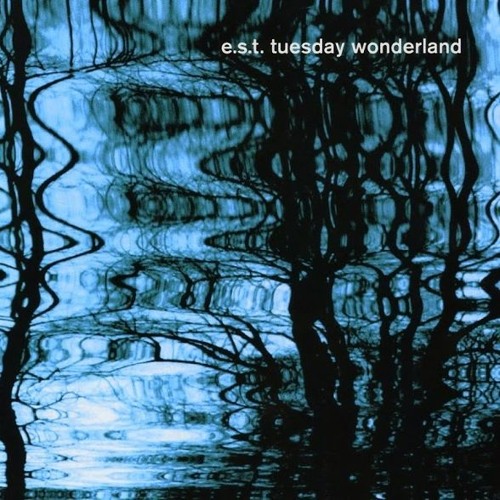 Esbjörn Svensson Trio - Where We Used To Live (584_ Remix)