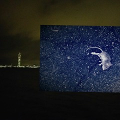 Wrist Academy (Feat Tezz)