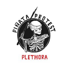 Piñata Protest - Cantina