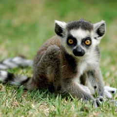 Madison Avenue - Don't Call Me Baby (Mienne Remix)