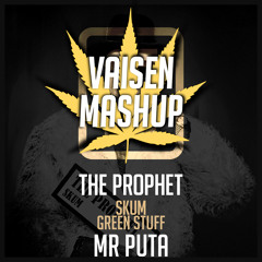 The Prophet X Mr Puta - Skum X Green Stuff (Vaisen Mashup) RADIO EDIT