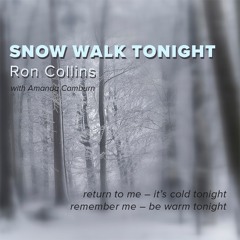Snow Walk Tonight
