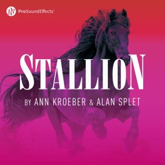 Stallion - Demo