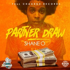 Shane O - Partner Draw