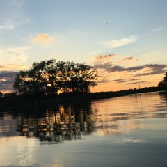 Black Orpheus - Cover