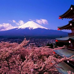 UnoTheActavist - HOTEL*** Rare  "C&S"