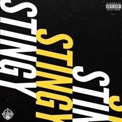 Problem - Stingy (DigitalDripped.com)
