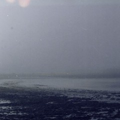 burrows w/ still haze
