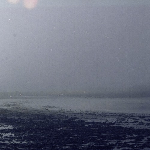 burrows w/ still haze