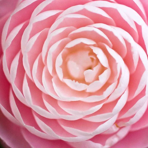 Stream 0028-Andrew-SAMPLE by GiUSA Documentary | Listen online for free ...