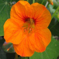 Struck feat. Gabriella Smith