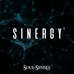 Soul & Senses - Sinergy 1
