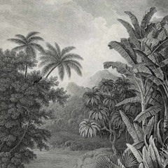 Tropical Fever Mixtape No. 1