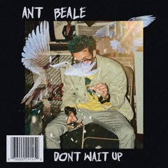 Ant Beale - Dont Wait Up