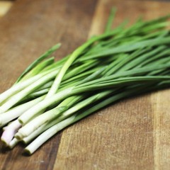 Organic Green Onions - Collab Version(with A Wood)