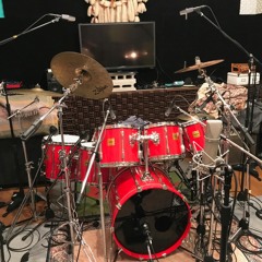 Dr Sample[Rock DW Maple Mute]