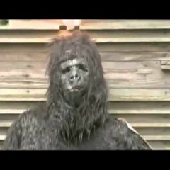 Spencer Rice Is A Fucking Fuck  Mix 4.0