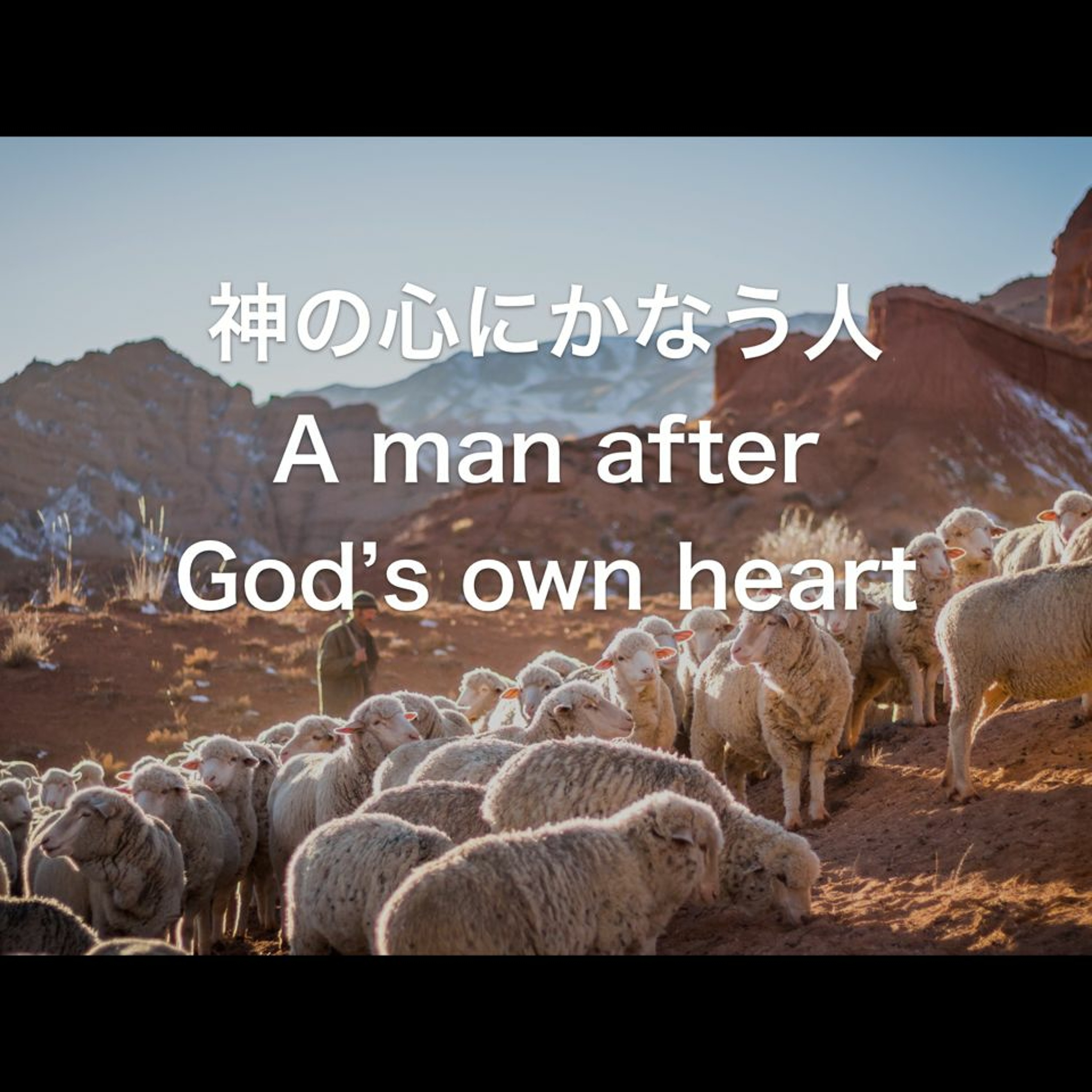 1. Samuel / 1 列王記 16,1; 6-13 - 神の心に叶う者 A Man after God`s own heart episode artwork