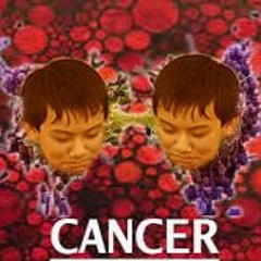 Ignorant Blissfulness